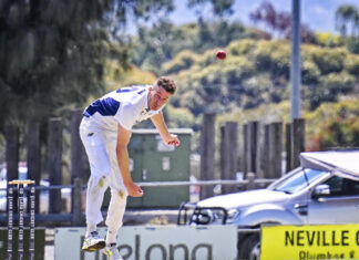 Cats’ skipper shines with timely ton